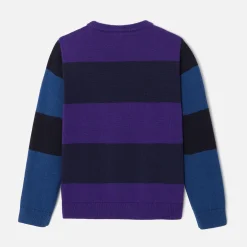 Jacadi Pullover, Sweatshirts, Strickjacken>Pullover aus Baumwolle für Jungen BLAU/LILA