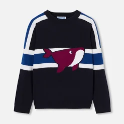 Jacadi Pullover, Sweatshirts, Strickjacken>Pullover für Jungen MARINEBLAU/BLAU